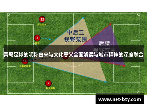 青岛足球的昵称由来与文化意义全面解读与城市精神的深度融合
