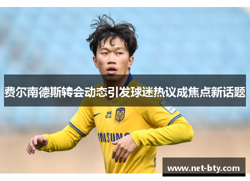 费尔南德斯转会动态引发球迷热议成焦点新话题 费尔南德斯转会动态引发球迷热议成焦点新话题