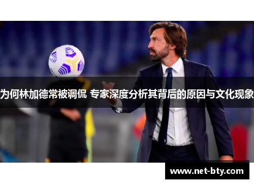 为何林加德常被调侃 专家深度分析其背后的原因与文化现象 为何林加德常被调侃 专家深度分析其背后的原因与文化现象