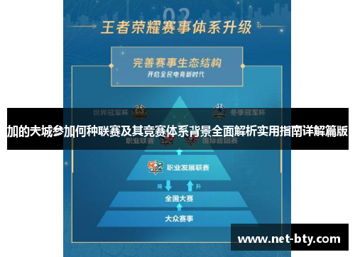 加的夫城参加何种联赛及其竞赛体系背景全面解析实用指南详解篇版