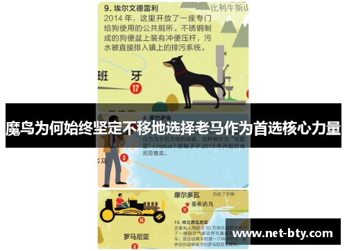 魔鸟为何始终坚定不移地选择老马作为首选核心力量